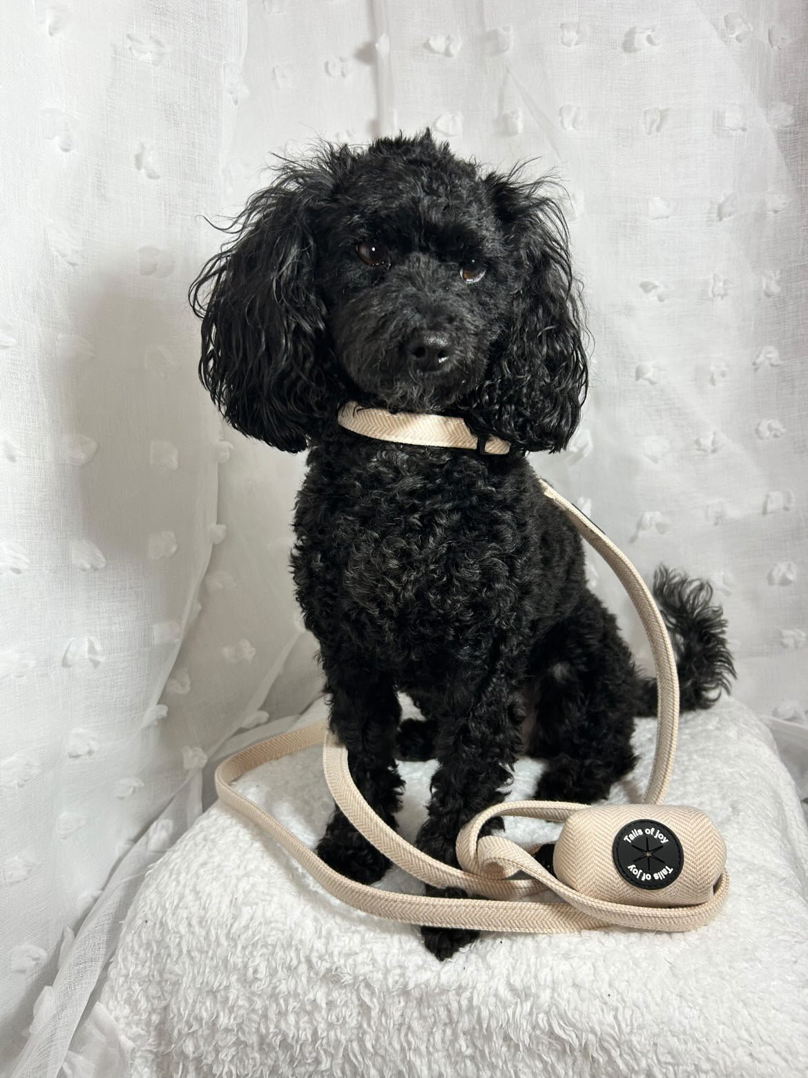 Vanilla Tweed Adjustable Collar