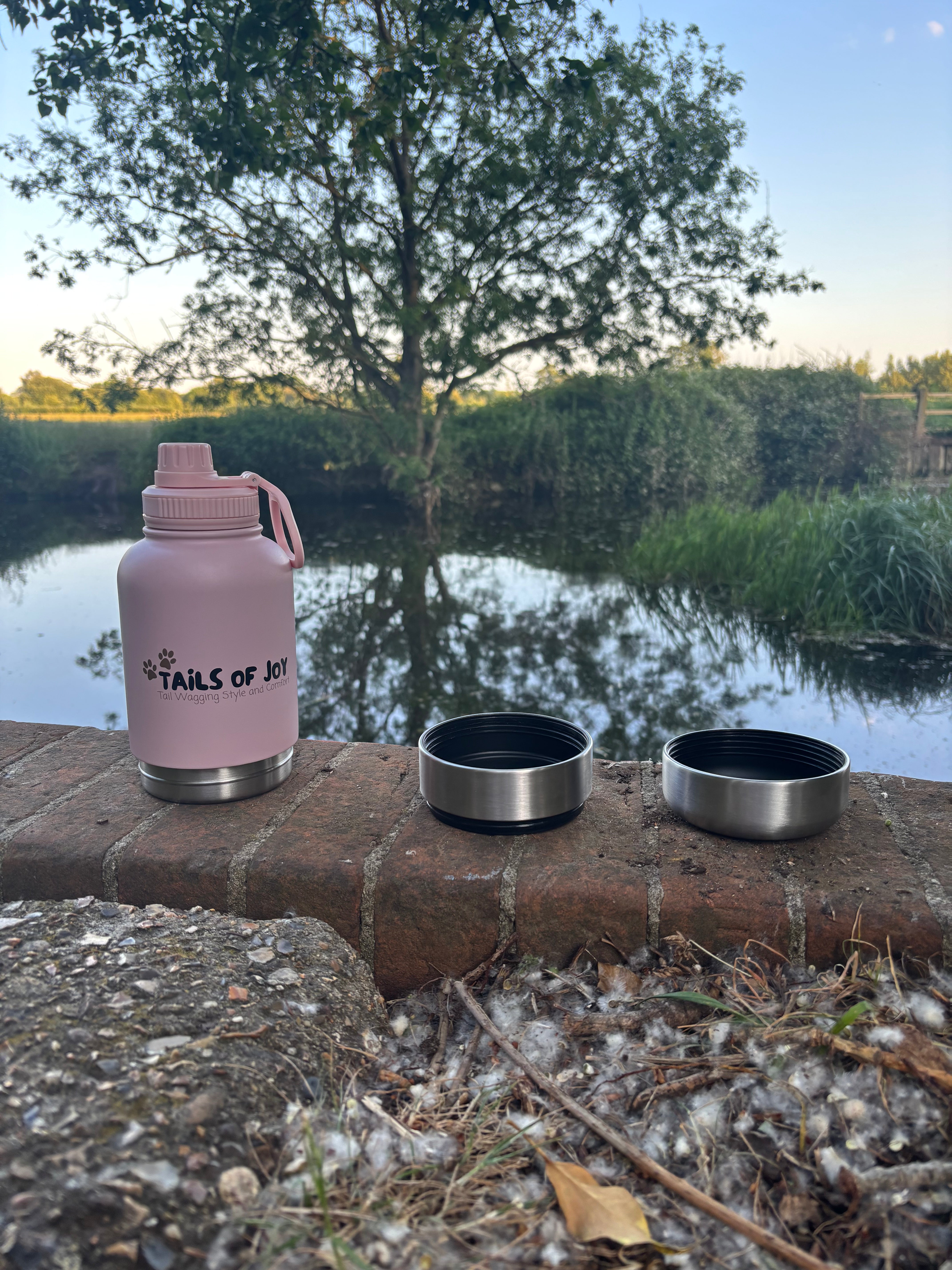 🐶 3 in 1 Dog Water Bottle