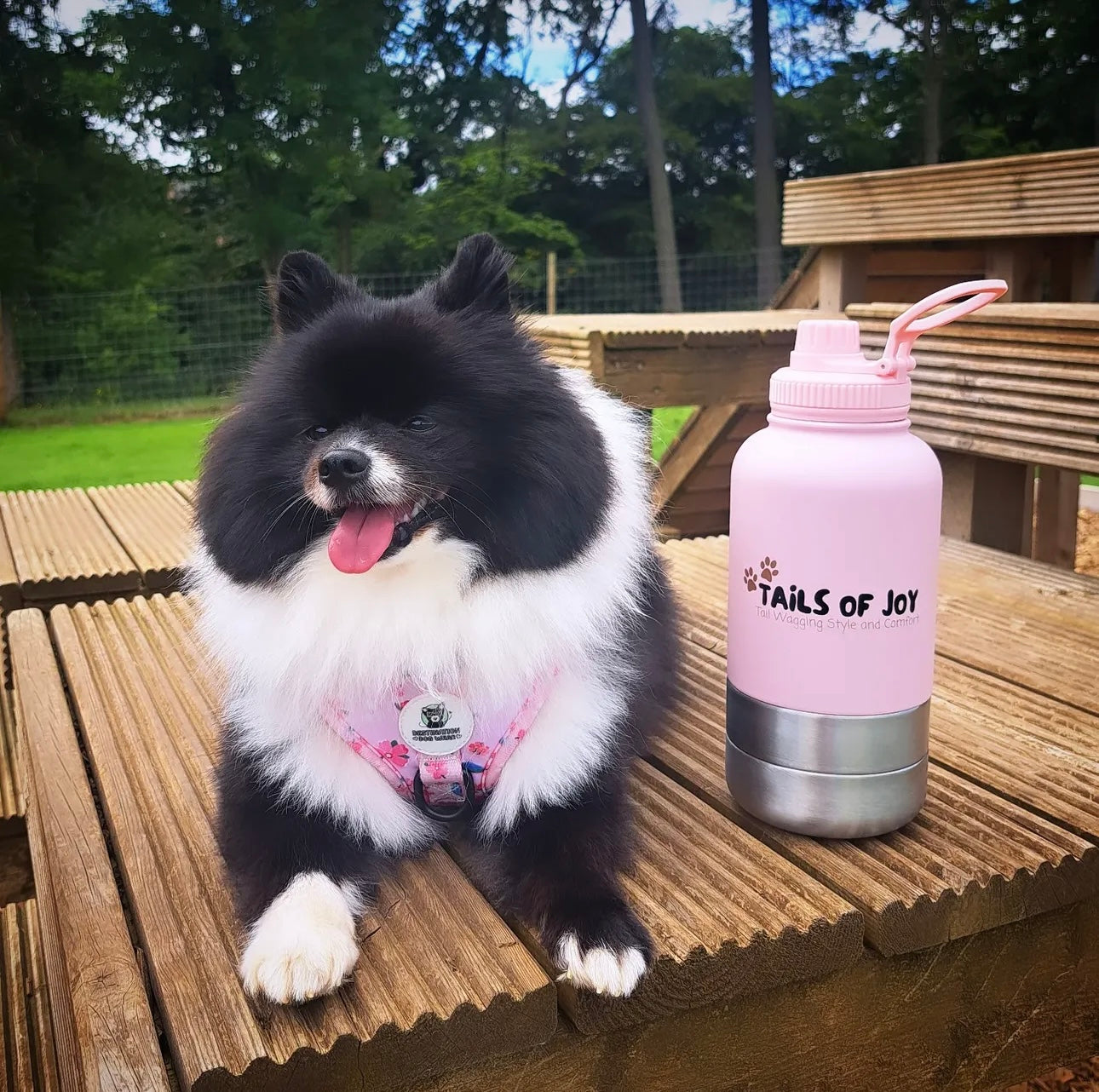 🐶 3 in 1 Dog Water Bottle